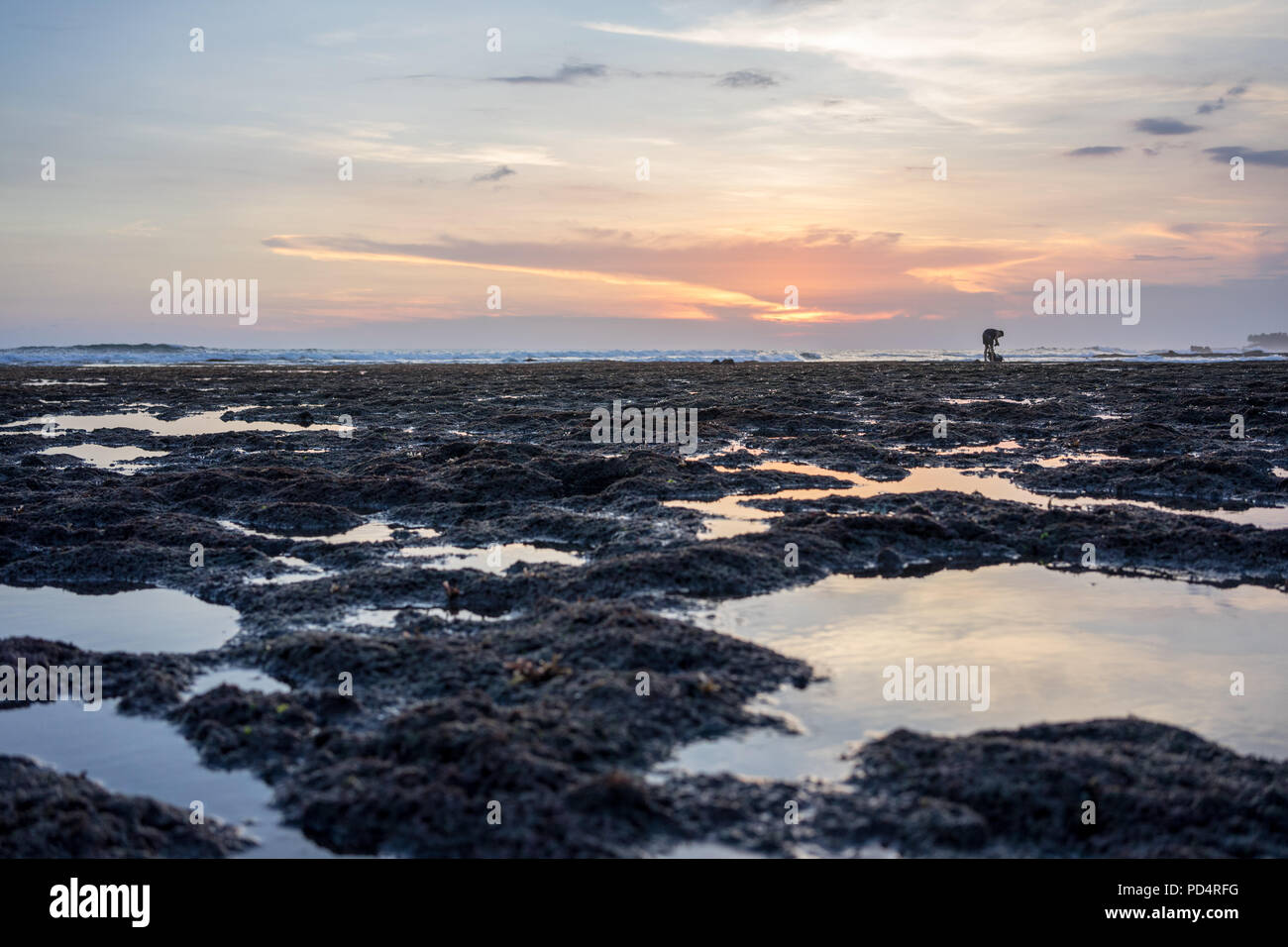 Basso angolo vista con alghe e acqua, Bali Indonesia Foto Stock