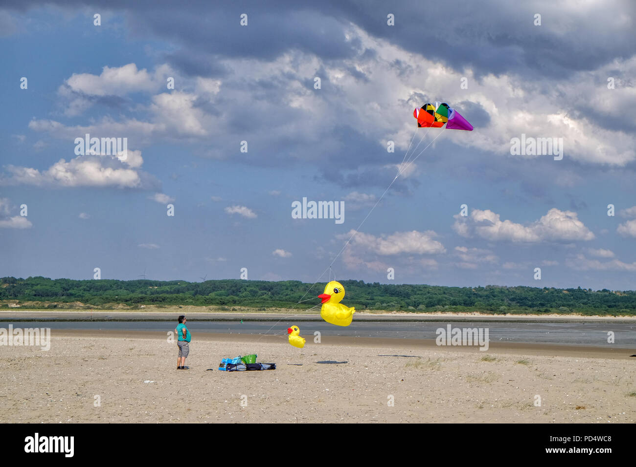 Ballons a romantica spiaggia battenti nel vento Foto Stock