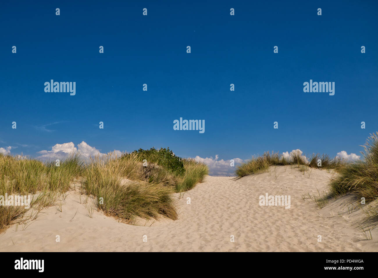 Le dune a spiaggia di Le Touquet Paris-Plage in Francia Foto Stock