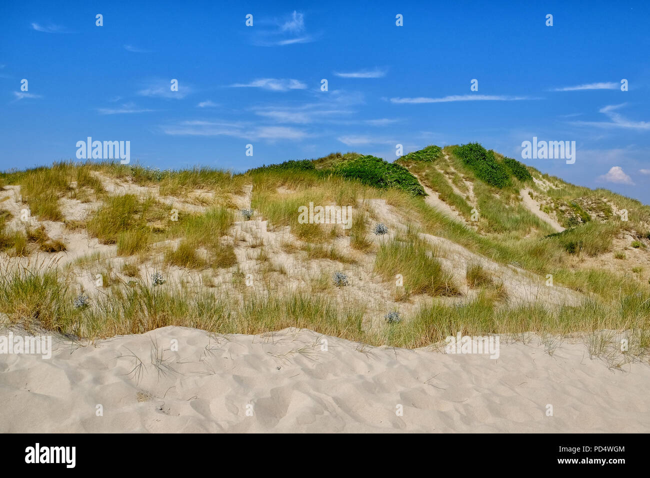Dune presso la spiaggia di Le Touquet Paris-Plage Foto Stock