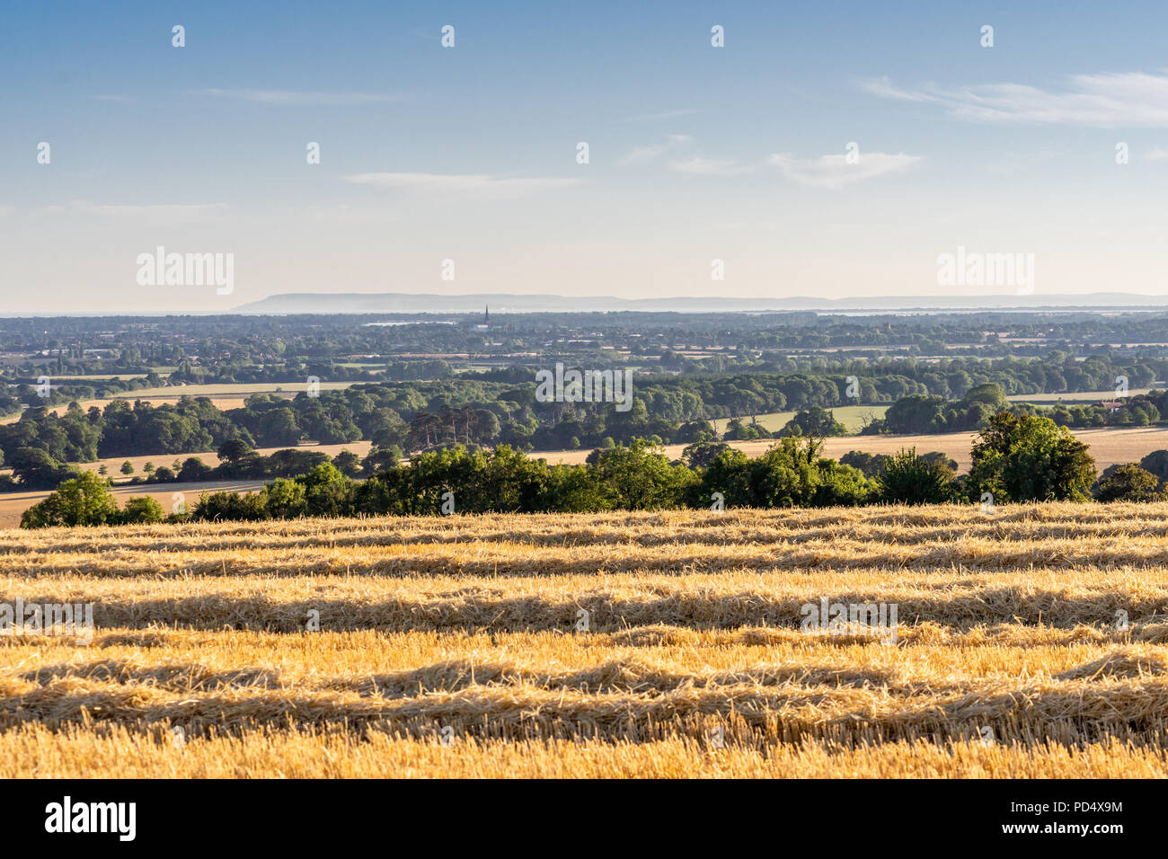 Vista panoramica su golden raccolte campi nel South Downs National Park con vista verso Chichester e l'Isola di Wight, West Sussex, in Inghilterra, Regno Unito Foto Stock
