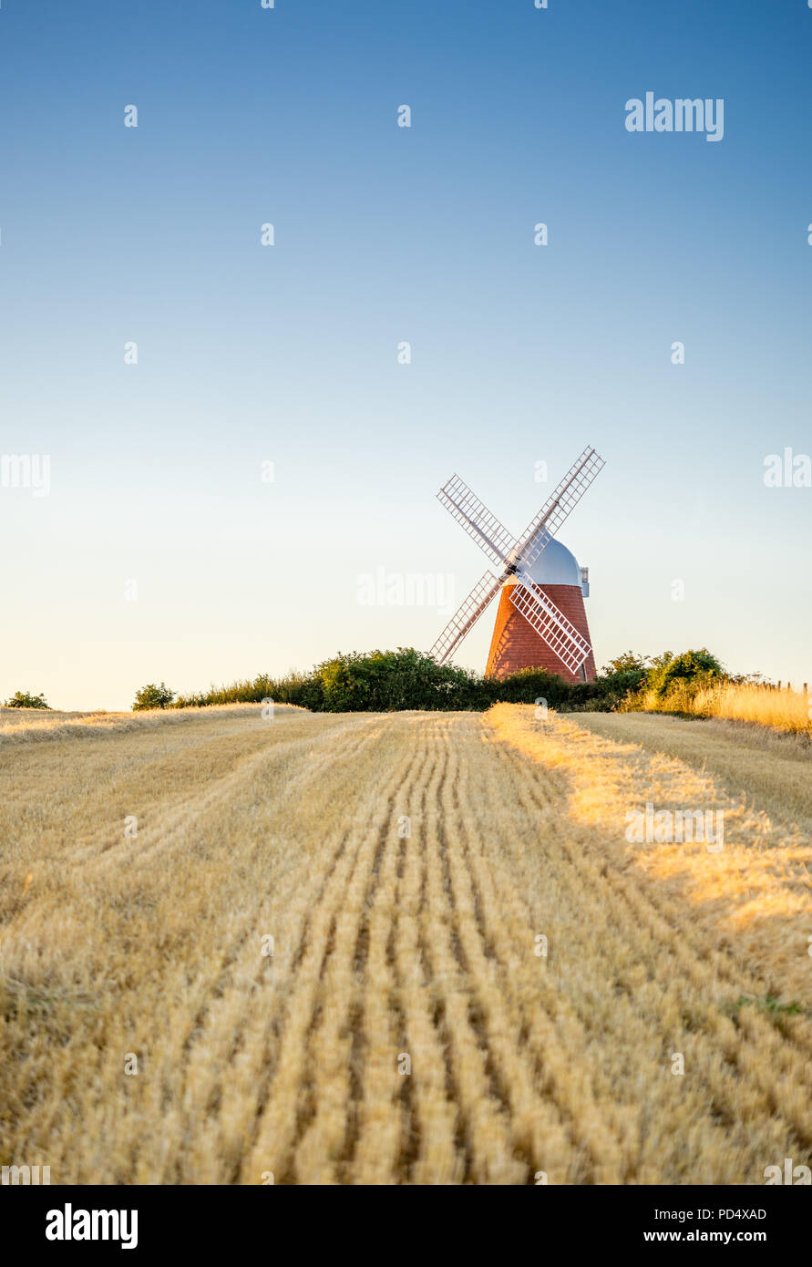 Mulino a vento di Halnaker durante la luce calda della sera sulla cima di Halnaker Hill nel Sussex occidentale, Inghilterra, Regno Unito Foto Stock