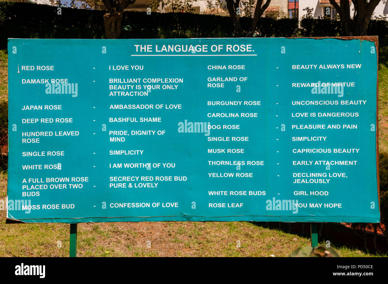 "La lingua di Rose' board informare le persone circa il significato di rose, eretto nel governo del Giardino delle Rose a Ooty, Tamil Nadu, India Foto Stock