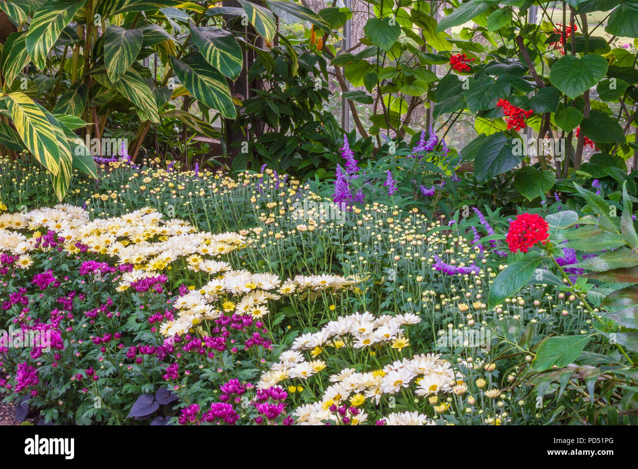 Autunno del giardino di scena a Callaway Gardens in Georgia. Foto Stock