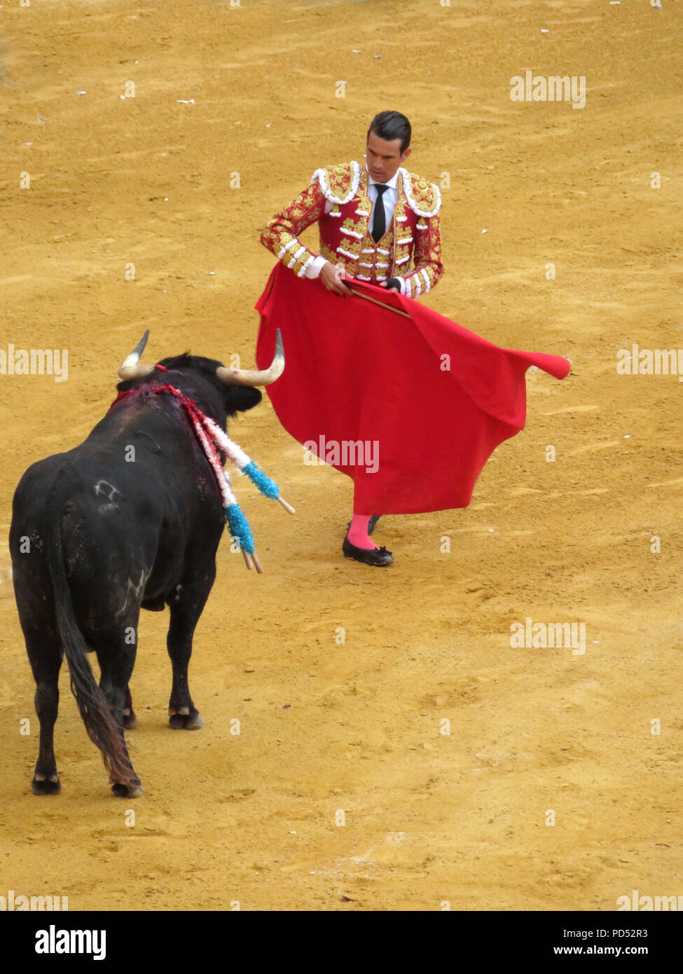 Bull lotta. Plaza de Toros,Granada, Andalusia, Spagna . Corrida. Matador José María Manzanares con muleta cape.tradizione spagnola. "Minuti finali". Foto Stock