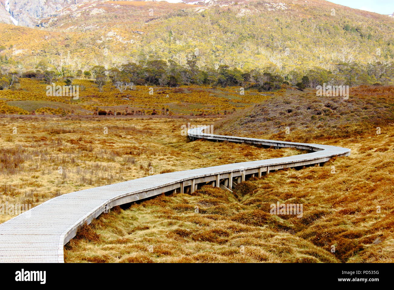 Cradle Mountain escursionismo Foto Stock
