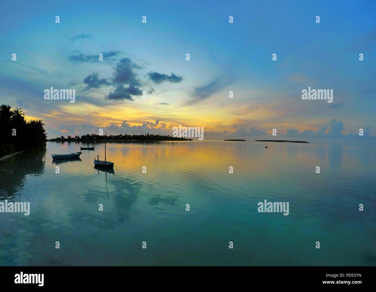 La Cannabis, conosciuta anche come la marijuana tra gli altri nomi, è una sostanza psicoattiva dalla pianta di cannabis usata per medici o finalità ricreativa Foto Stock