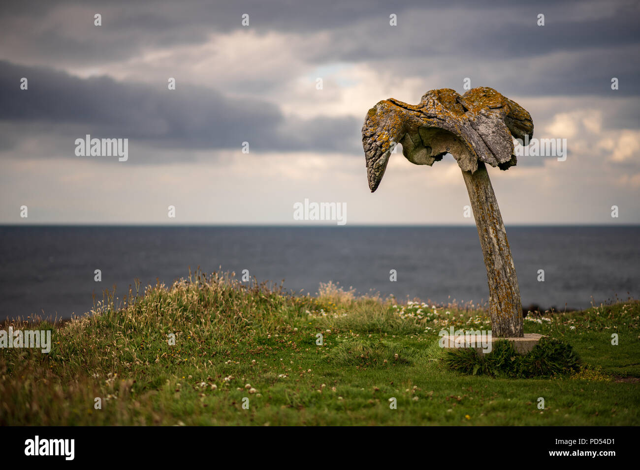 Il Skipi Geo whalebones, Birsay, Orkeny Foto Stock