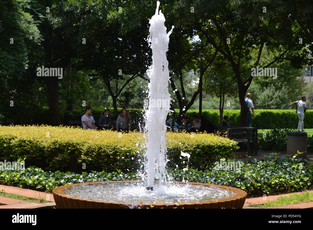 Fontana in un parco, Università di Witwatersrand Foto Stock