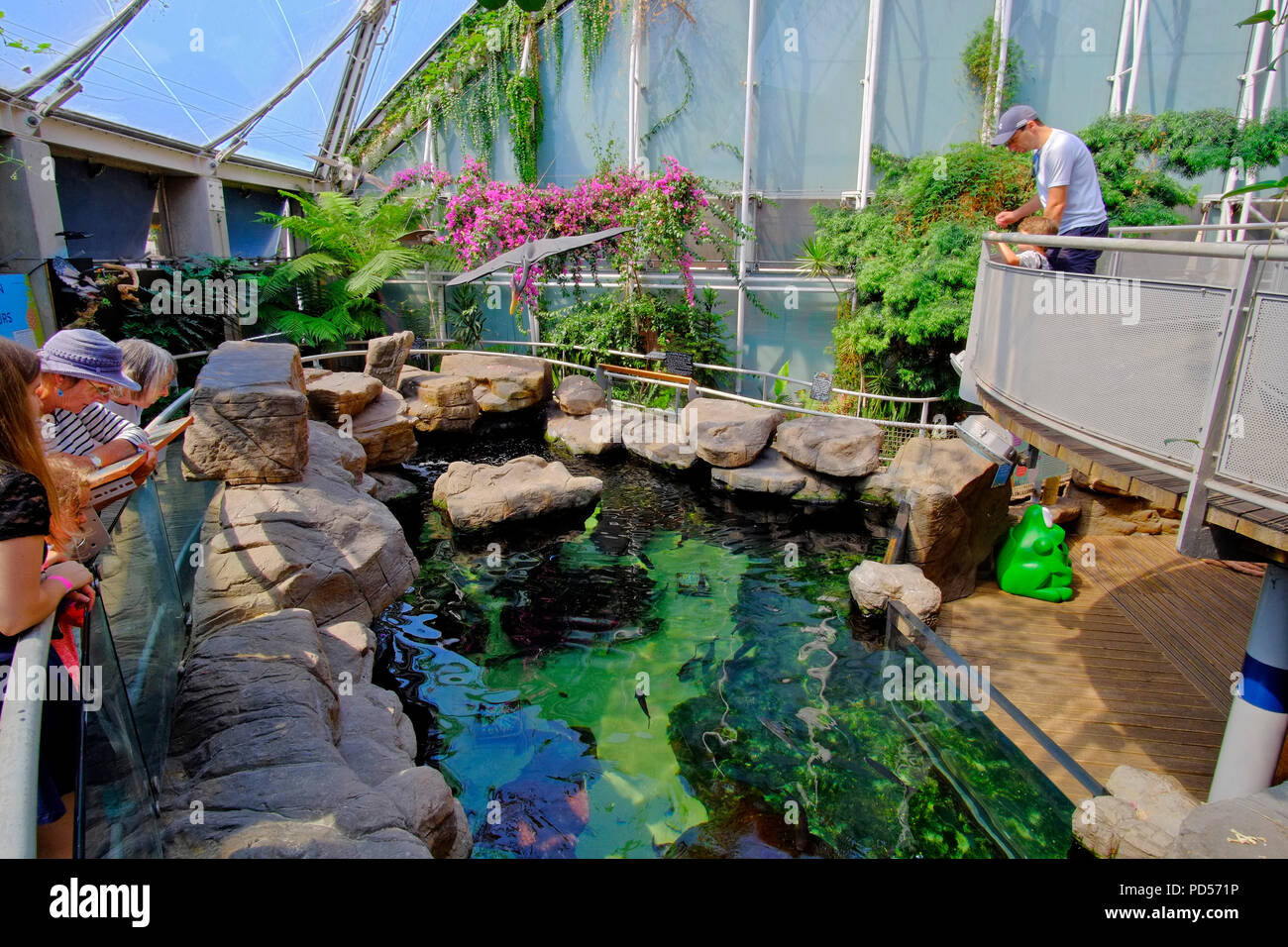 Bristol Aquarium, Bristol, Regno Unito Foto Stock