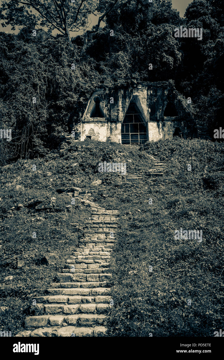 Palenque, Tempio della Croce Foliated, le rovine della città Maya in Messico meridionale, Chiapas, Messico Foto Stock