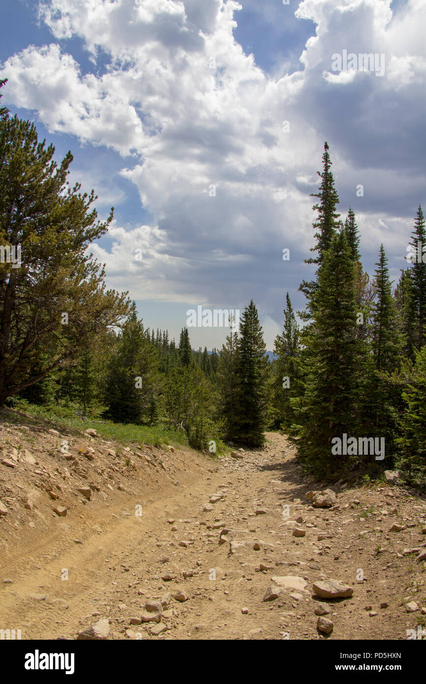 Esplorare Yankee Hill in Jeep Foto Stock