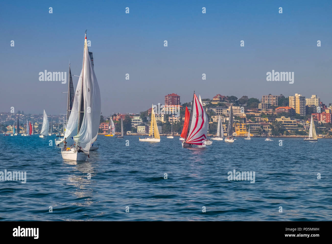 Vele yacht nel porto di Sydney, Port Jackson, Nuovo Galles del Sud, Australia. Foto Stock