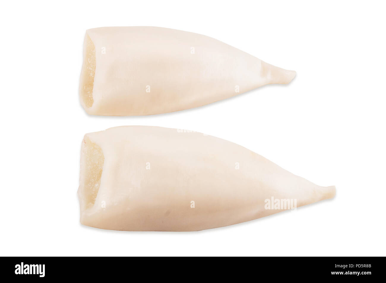 Materie squid carcassa isolati su sfondo bianco Foto Stock