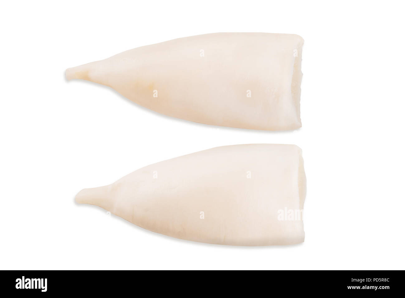 Materie squid carcassa isolati su sfondo bianco Foto Stock