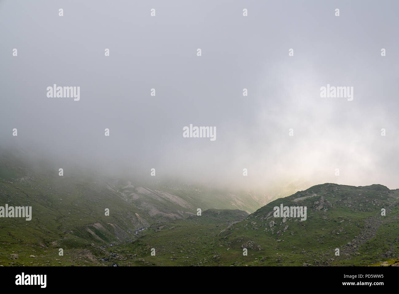 Bellissimo prato di nebbia. Fitta nebbia sulla montagna attraverso l'erba prato. Foto Stock