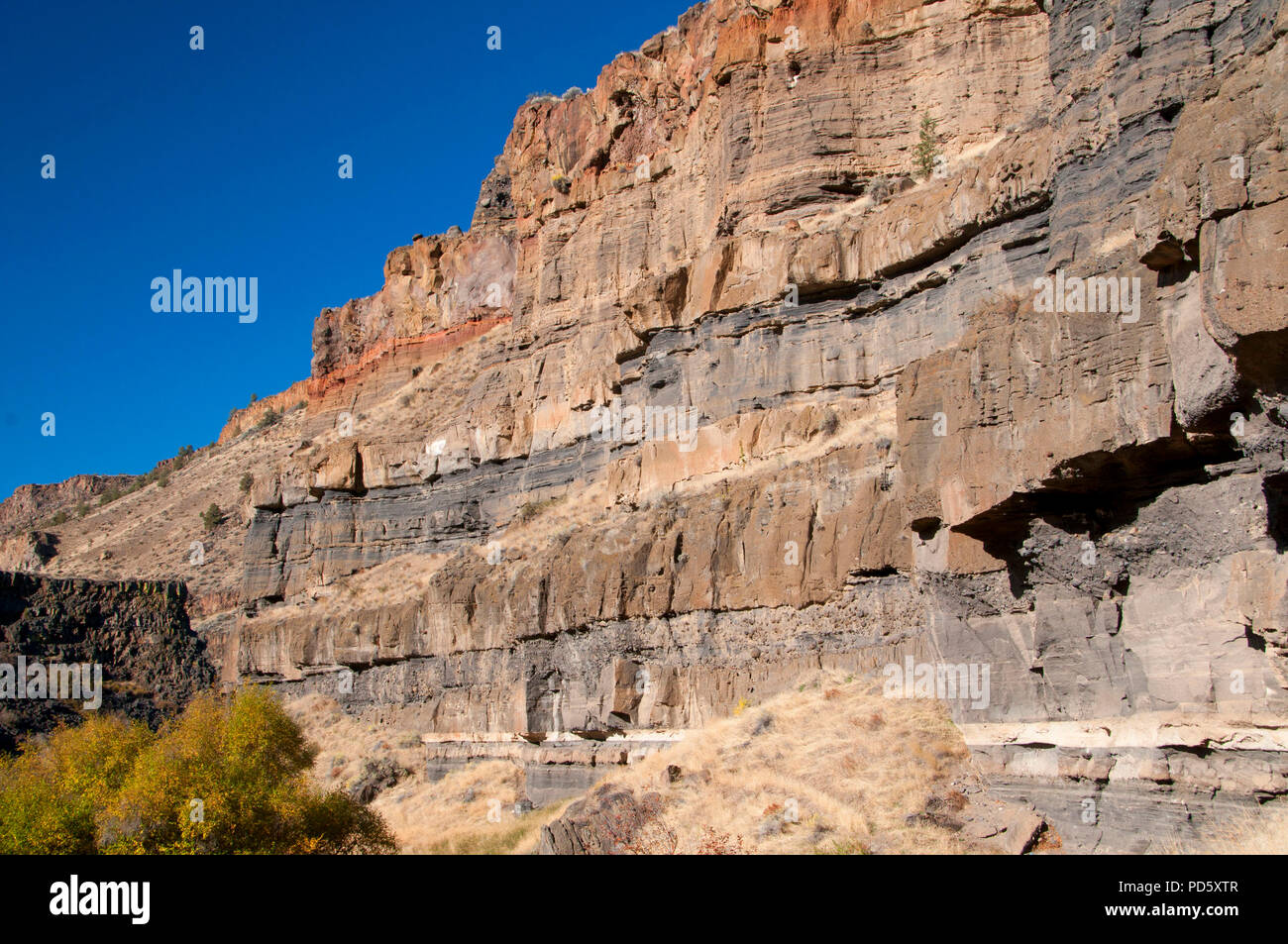 Deschutes River Canyon da Scout Camp Trail, Steelhead cade Wilderness Area Studio, Deschutes selvatica e Scenic River, Oregon Foto Stock