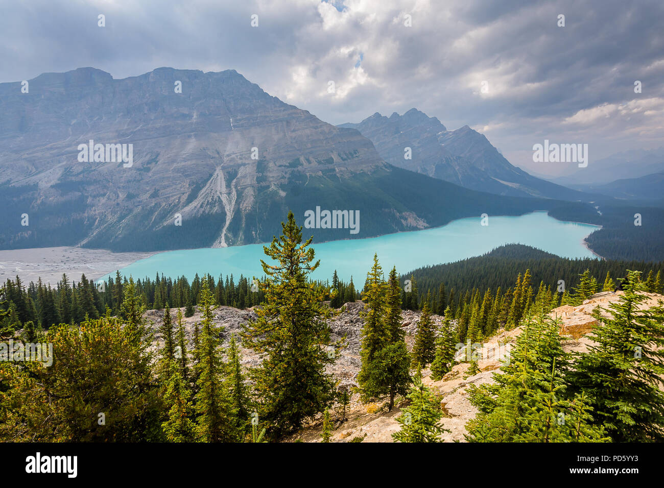 Peyto Lake Foto Stock