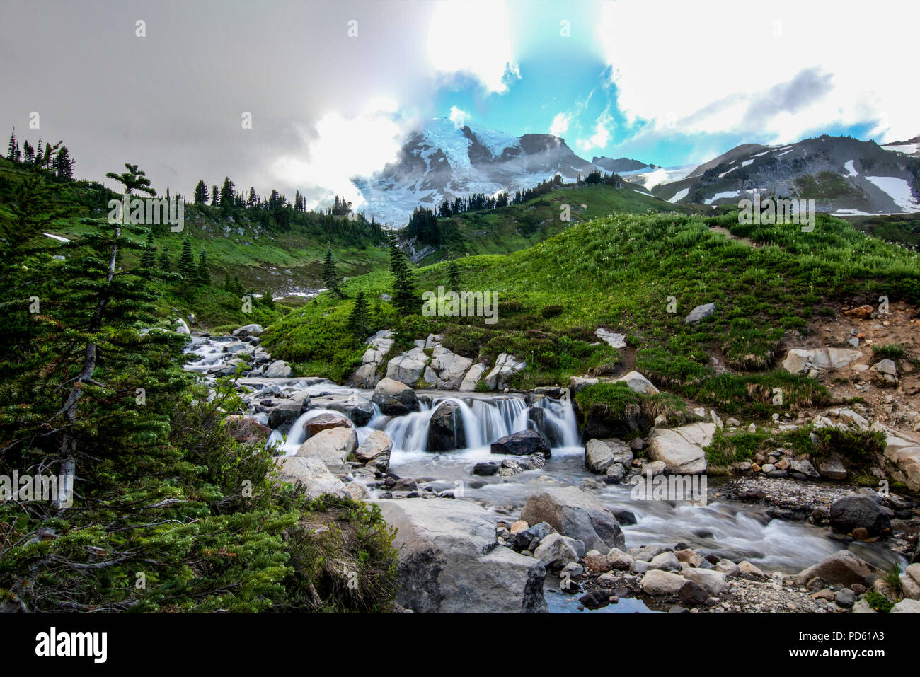 Il mirto cade di colpo da me a Mount Rainier Foto Stock