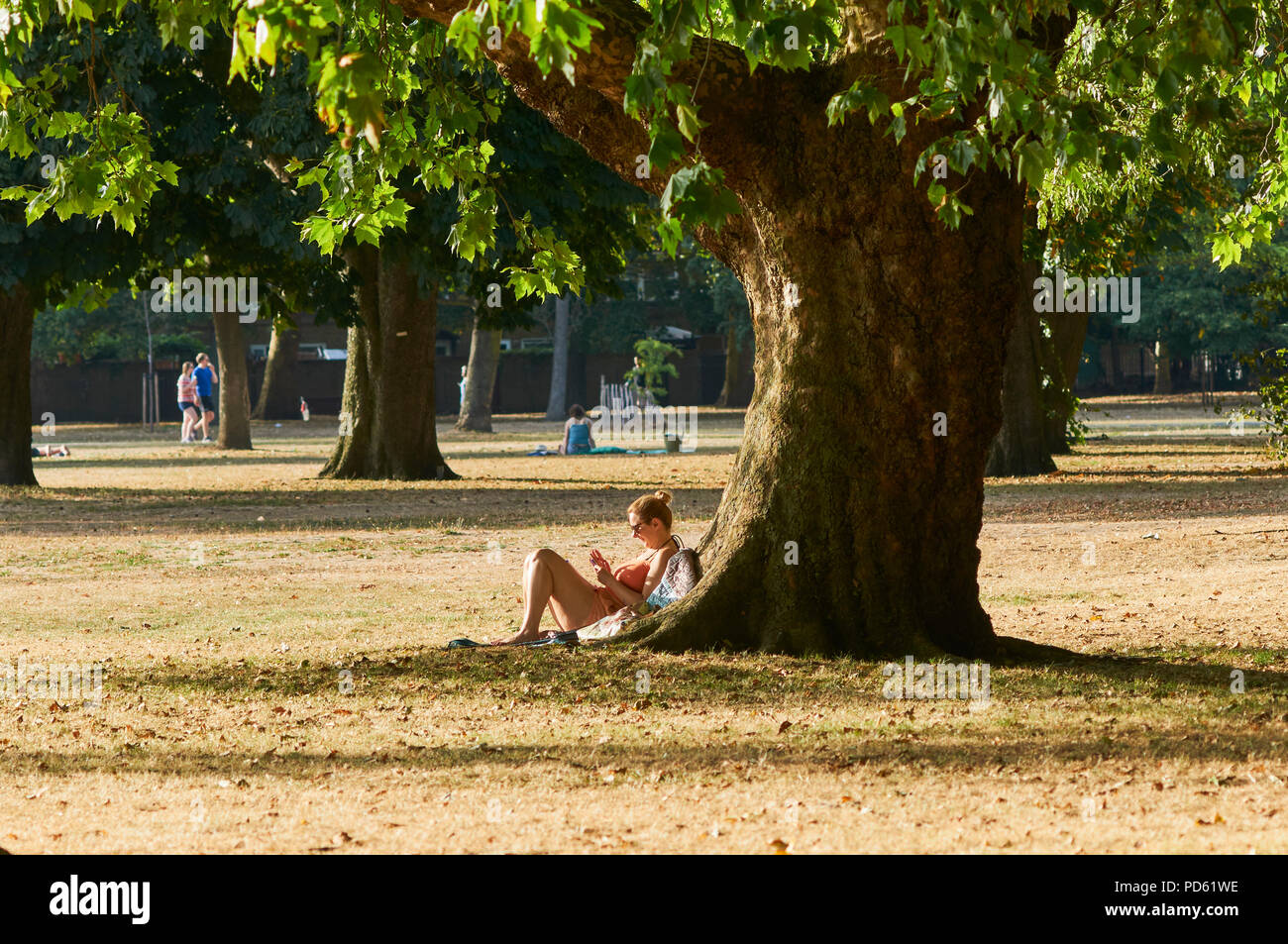 Sunbather in Victoria Park, East London REGNO UNITO, all'inizio di agosto, durante il 2018 canicola Foto Stock