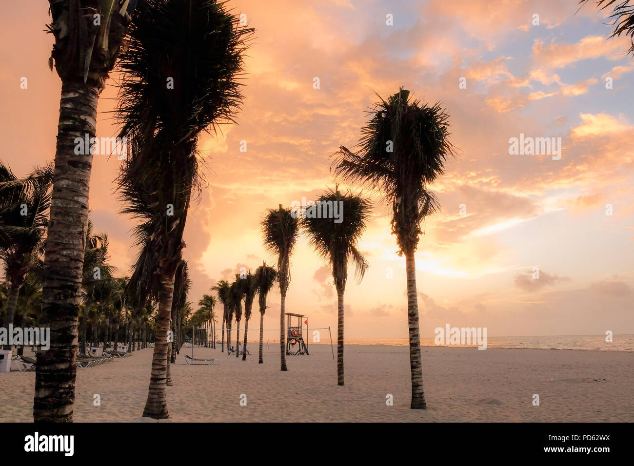 Il Palms saluto il giorno Foto Stock