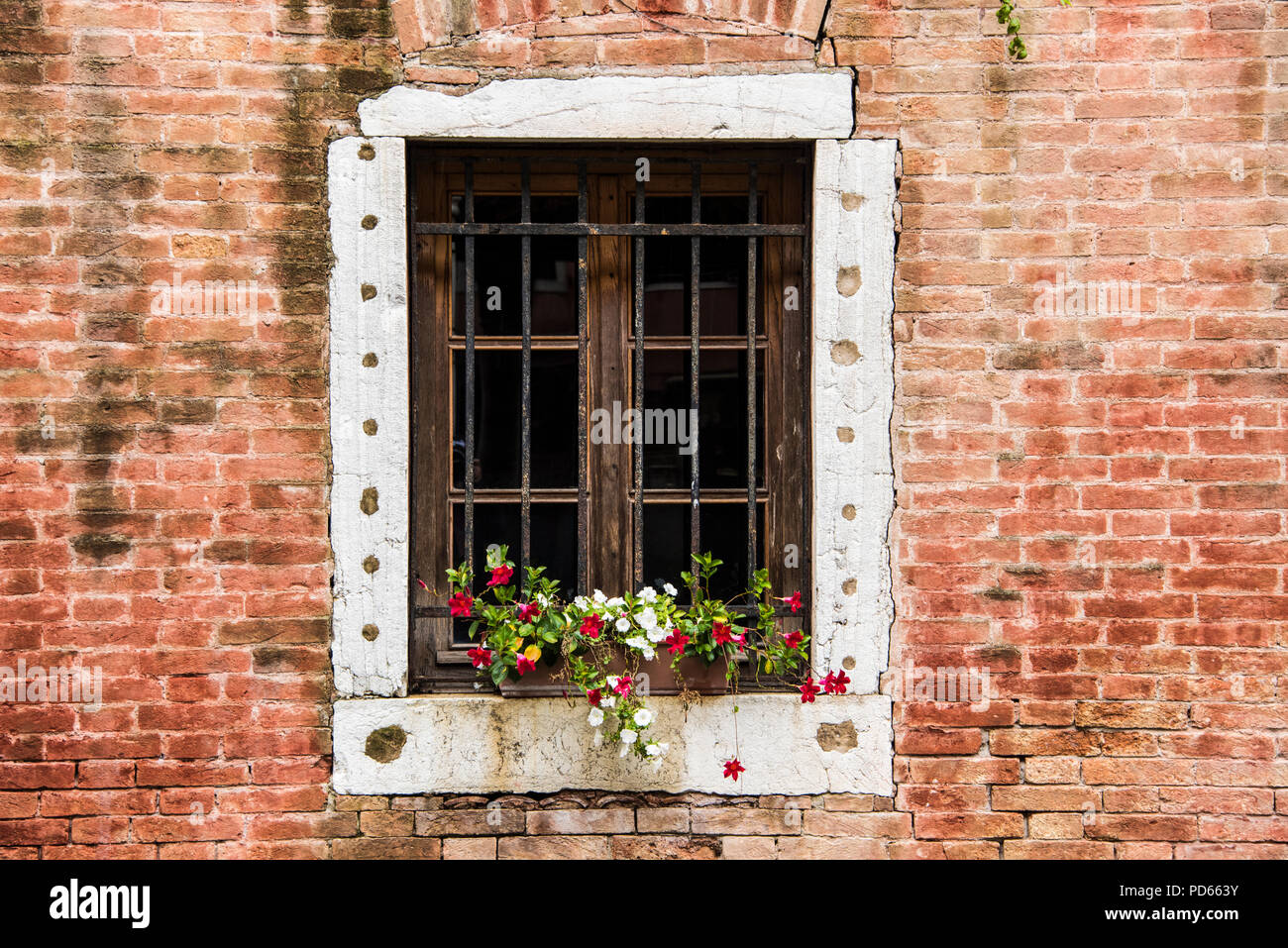 Finestra con vasi di fiori sul davanzale impostato in un rosso un muro di mattoni, Rialto, Venezia Foto Stock