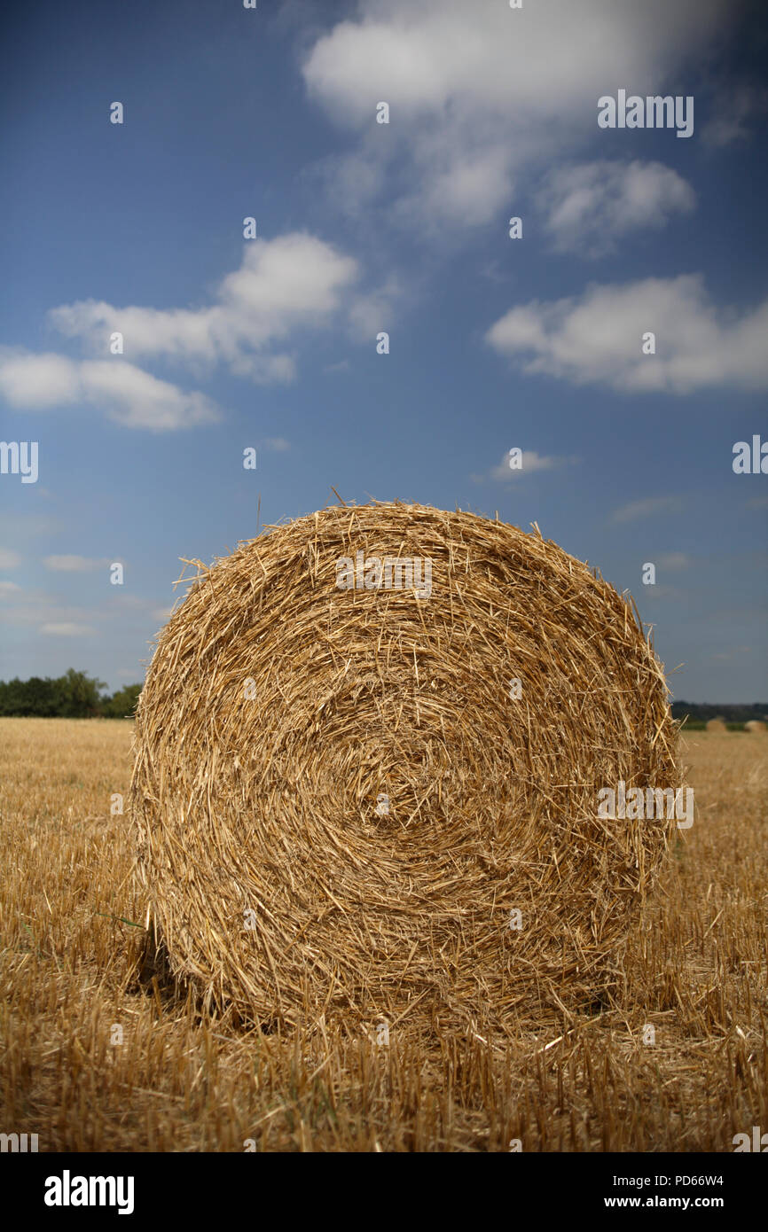 Paglia di grano balle estate Foto Stock