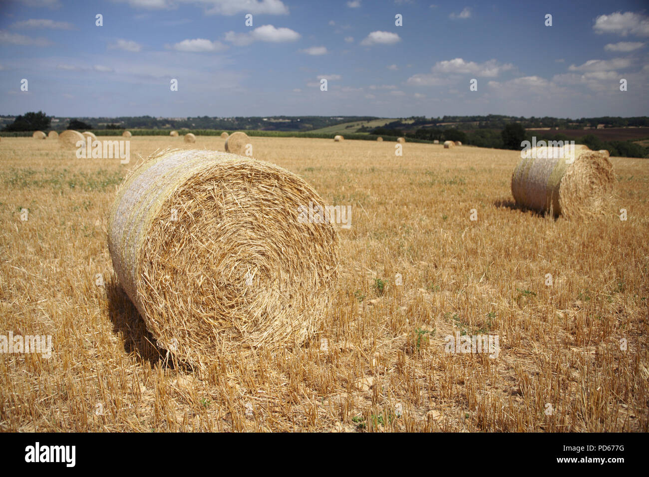 Paglia di grano balle estate Foto Stock