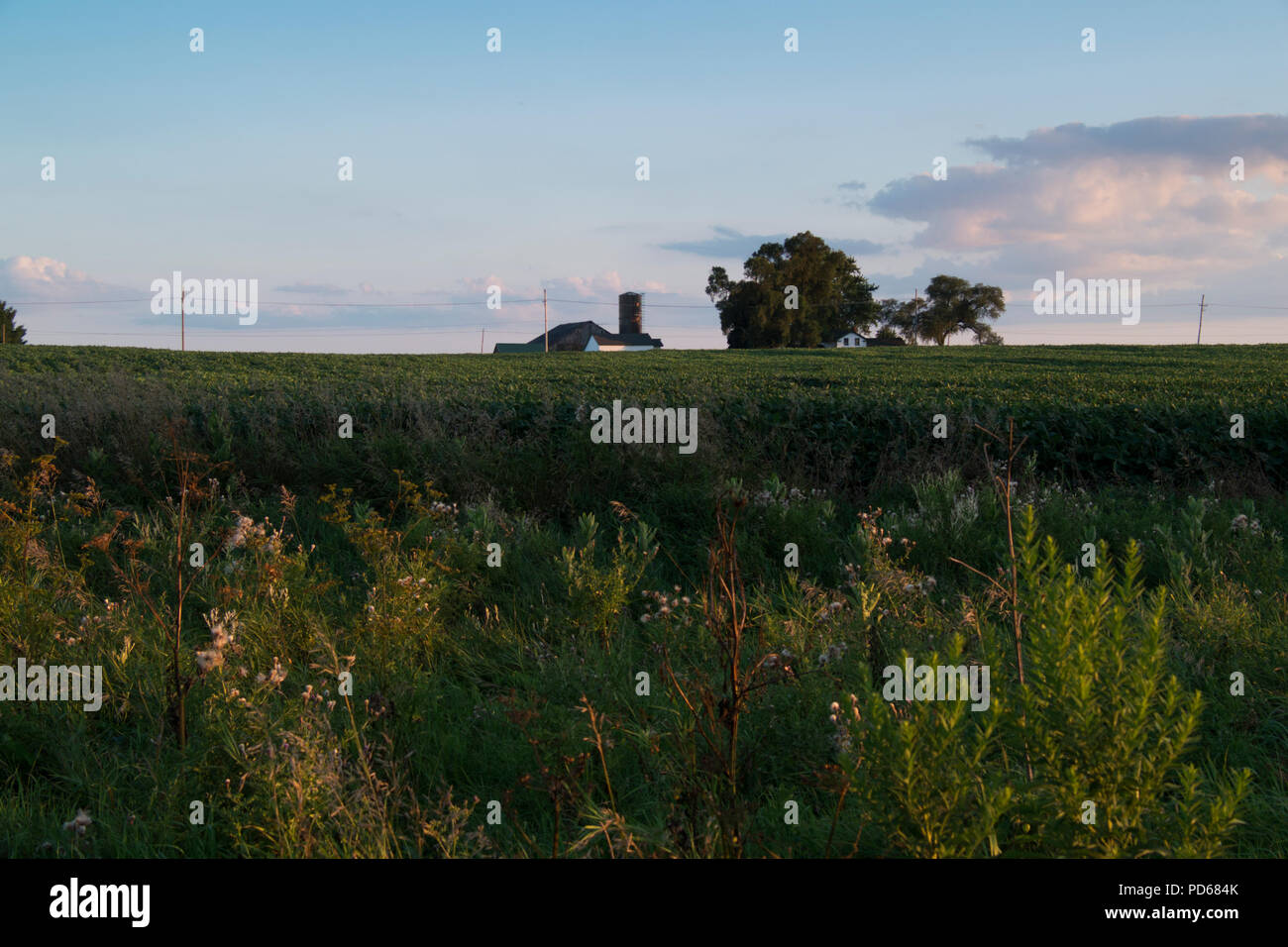 Piccolo Agriturismo vicino a Richmond, Illinois, Stati Uniti d'America. Foto Stock