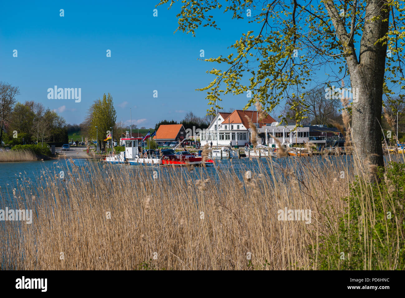 Schlei Fjord, Schlei ferry boat, cavo traghetto, collegando i paesaggi di Schwansen e Angeln, Missunde, Schleswig-Holstein, Germania, Europa Foto Stock