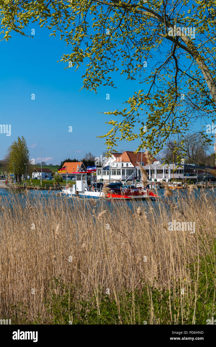 Schlei Fjord, Schlei ferry boat, cavo traghetto, collegando i paesaggi di Schwansen e Angeln, Missunde, Schleswig-Holstein, Germania, Europa Foto Stock