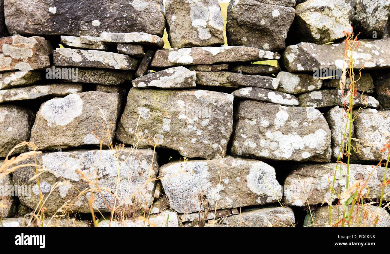 Asciugare la parete in pietra, West Yorkshire, Regno Unito Foto Stock