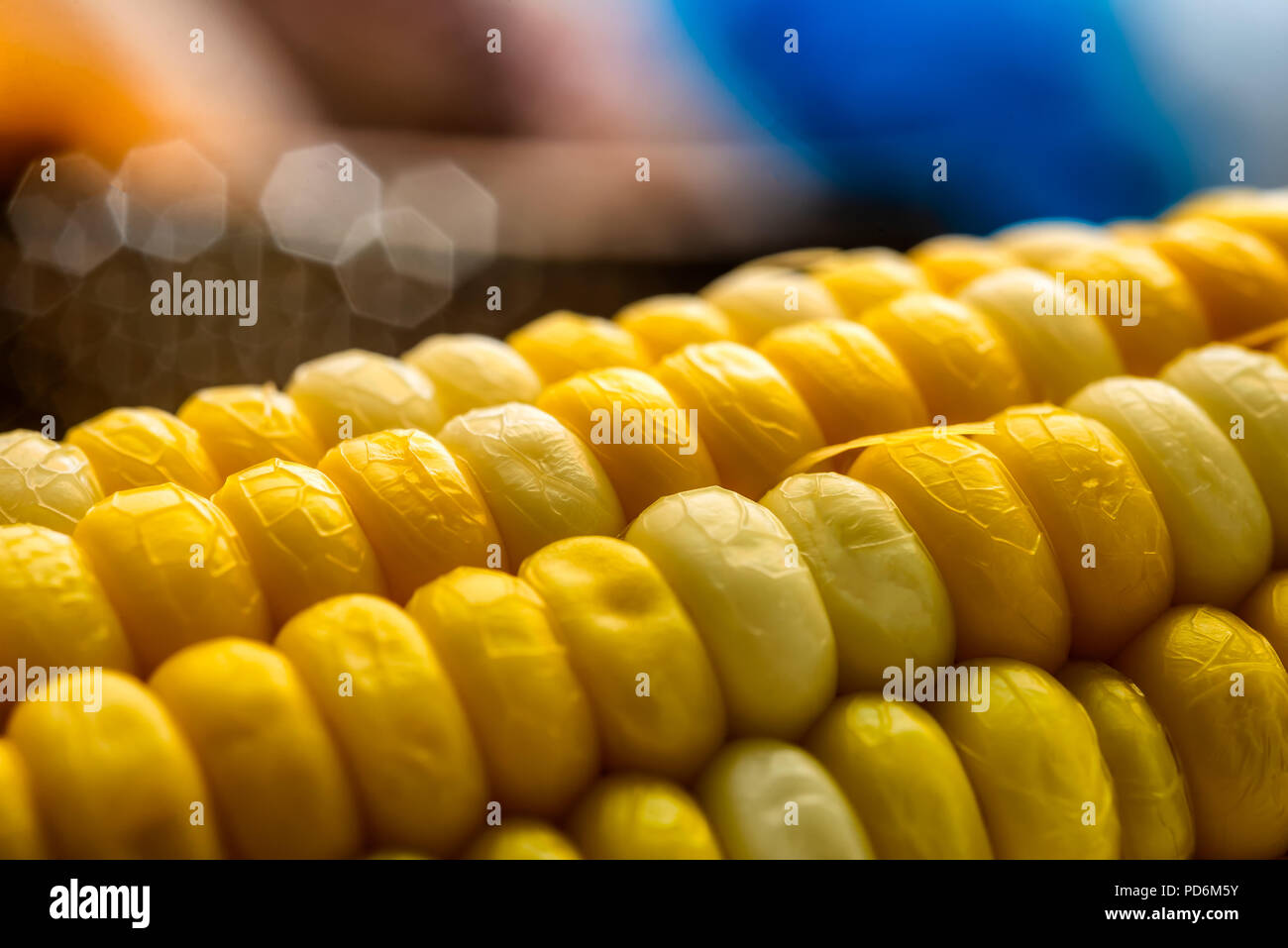 Mais bollito in stretta fino in natura sfondo colorato Foto Stock