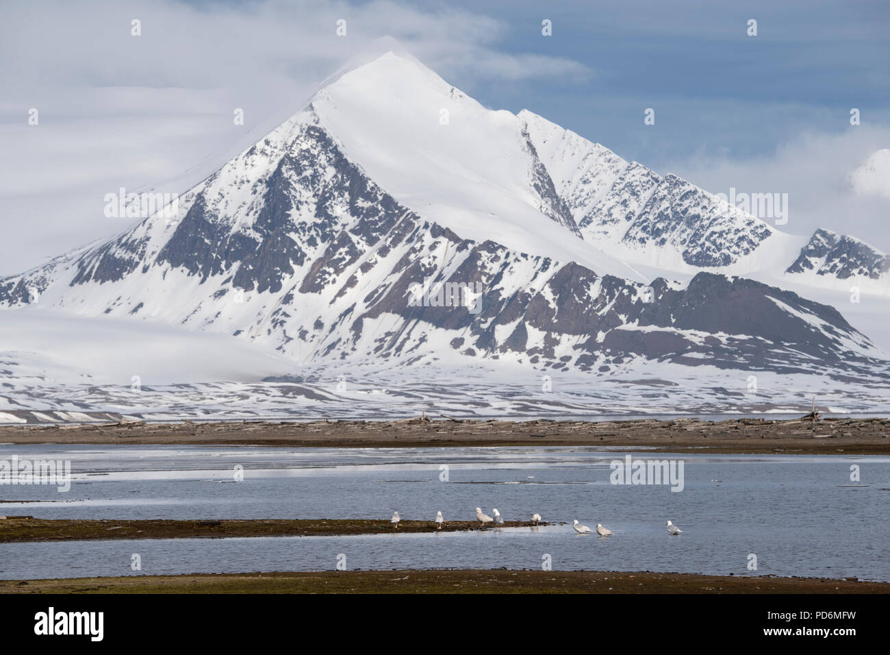 Norvegia Isole Svalbard, Spitsbergen, Isfjord, Poolepynten. Foto Stock