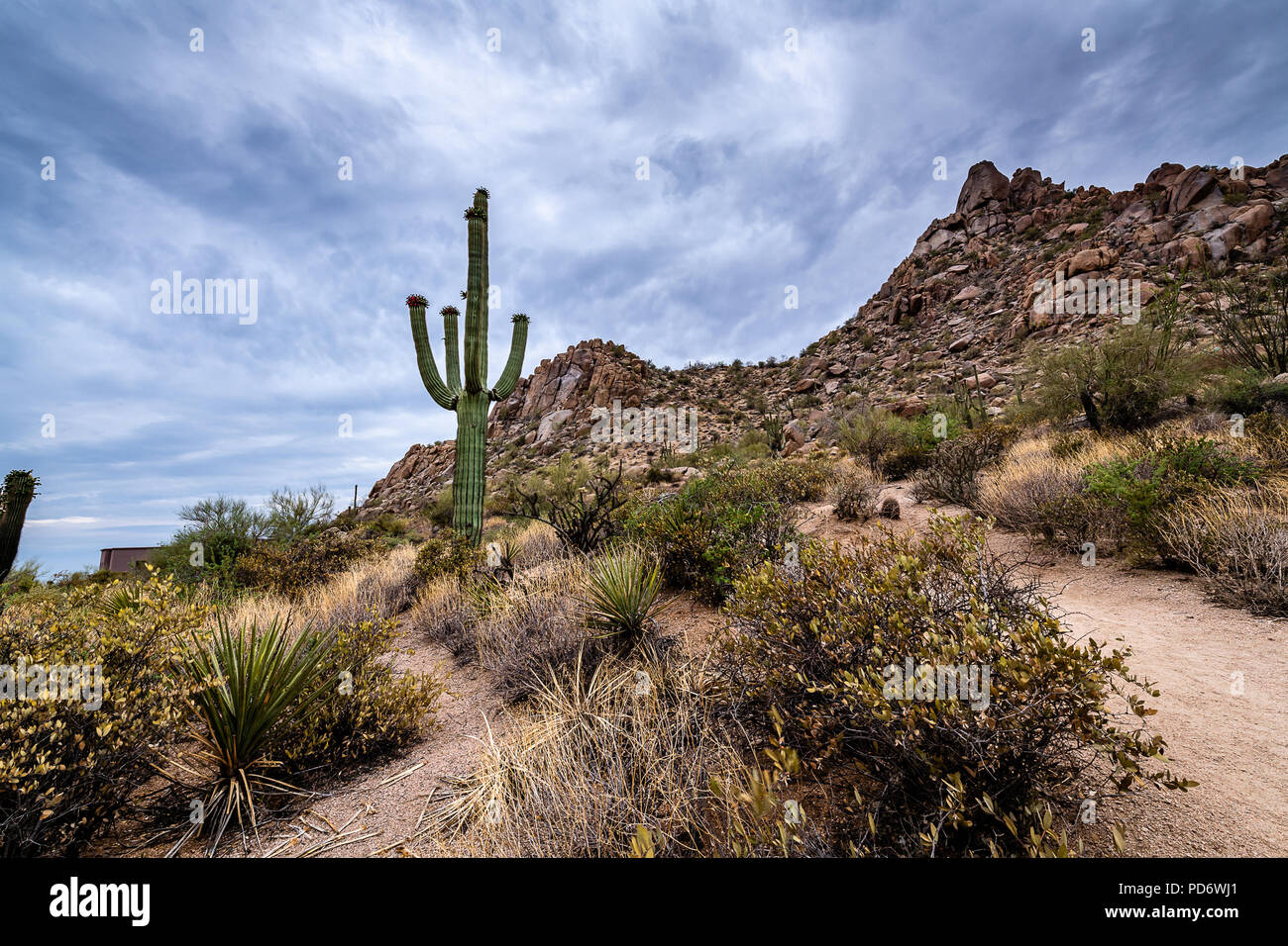 Scottsdale Tramonto Foto Stock