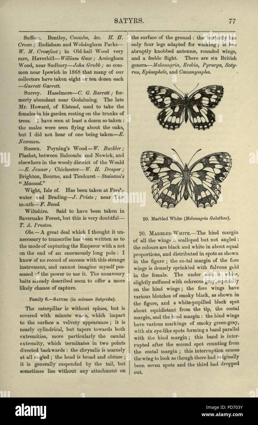 Un illustrato la storia naturale della British farfalle e falene (pagina 77) Foto Stock