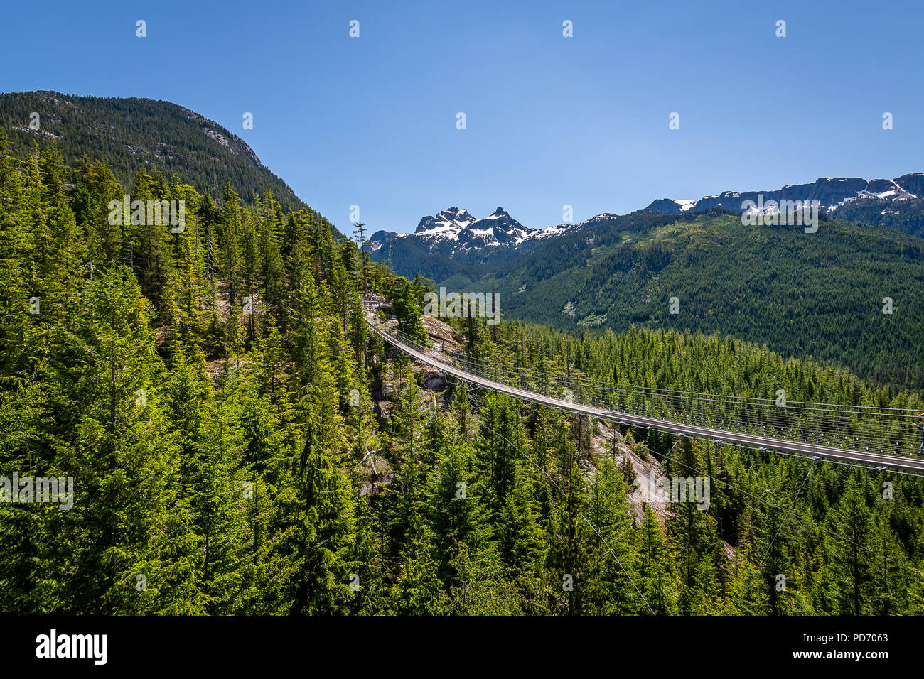 Sea to Sky Gondola Summit Foto Stock