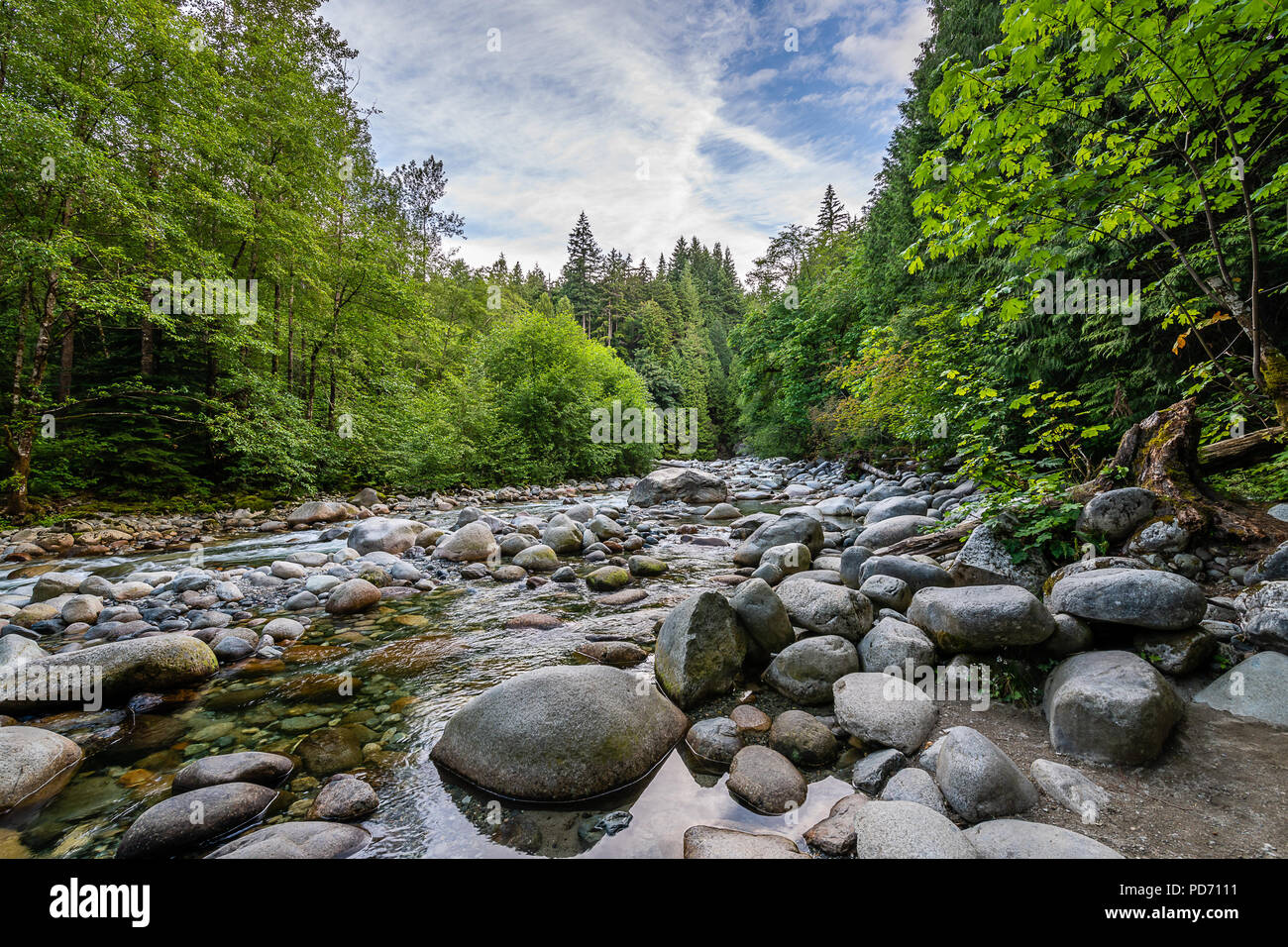 Lynn Canyon Park Foto Stock