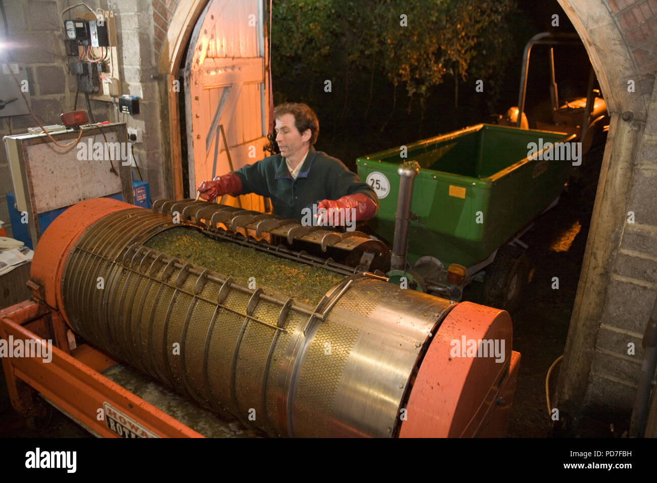 Paolo Dale enologo spremitura di uve a Wyle valley Vineyard Foto Stock