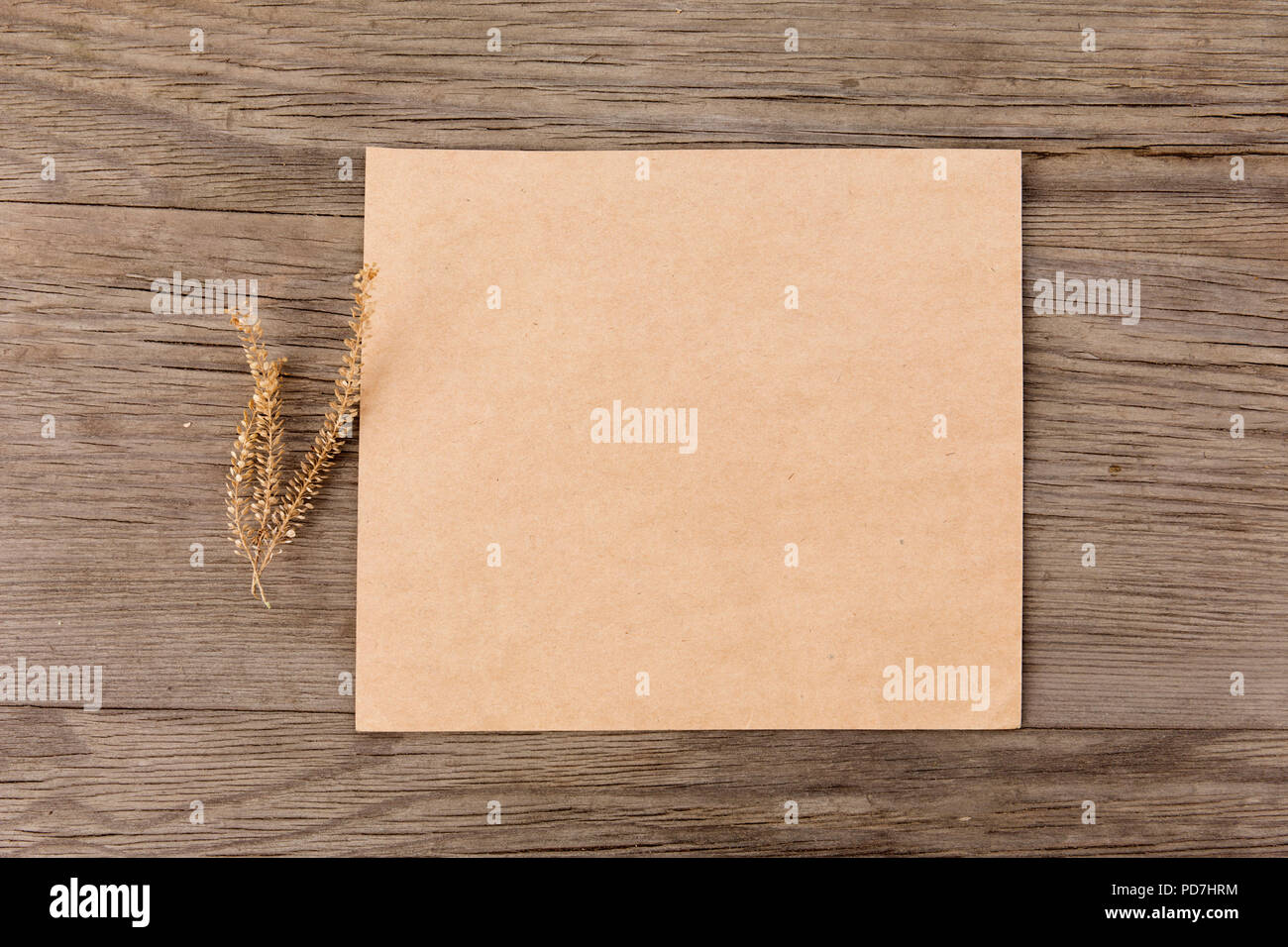 Fiori secchi con artigianato carta bianca sul vecchio grunge sfondo di legno. Vista dall'alto. In stile minimalista mockup. Foto Stock