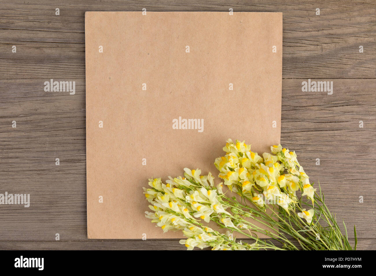 Antirrhinum fiori gialli con artigianato Carta vuota sul vecchio grunge sfondo di legno. Vista dall'alto. In stile minimalista mockup. Foto Stock