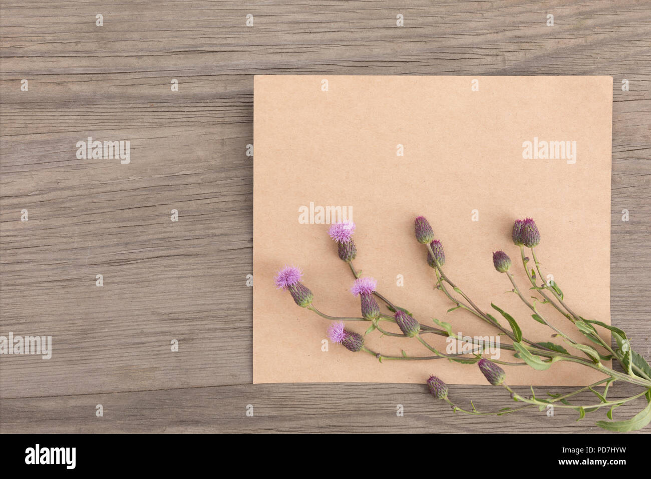 Viola con fiori di campo artigianali fatti a mano notebook sul vecchio grunge sfondo di legno. Vista dall'alto. In stile minimalista mockup. Foto Stock