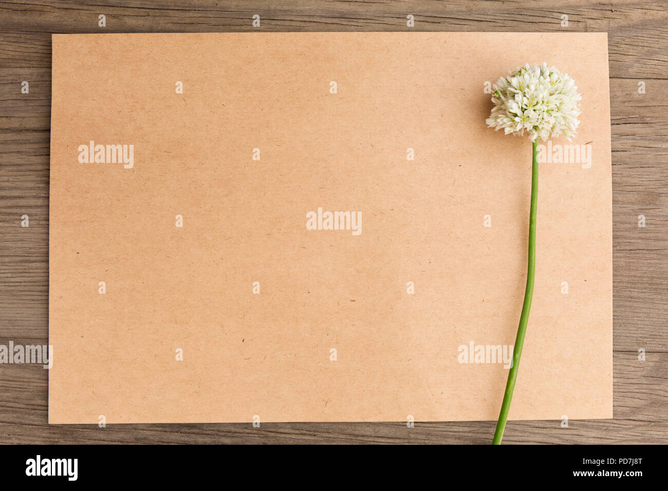 Aglio selvatico fiori bianchi con artigianato Carta vuota sul vecchio grunge sfondo di legno. Vista dall'alto. In stile minimalista mockup. Foto Stock