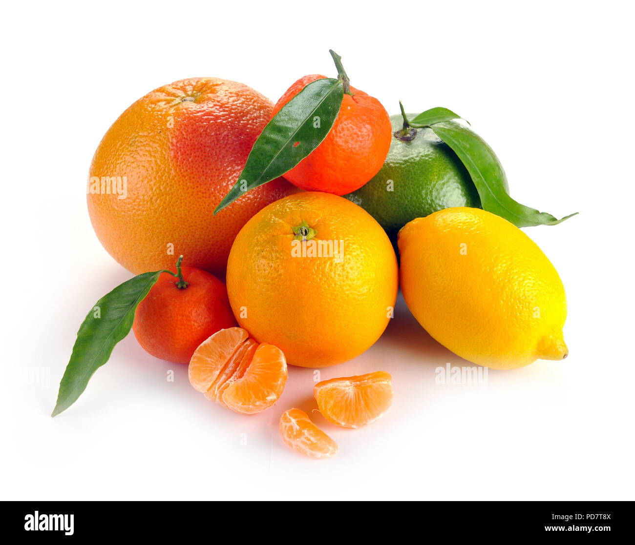 Set di agrumi con foglie su sfondo bianco Foto Stock