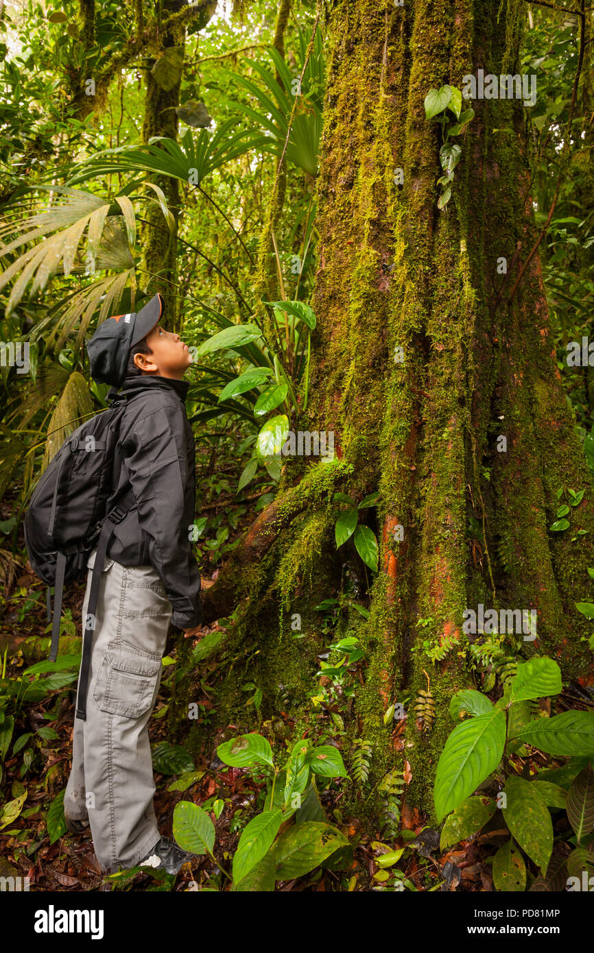 Giovane ragazzo panamense nella foresta pluviale di Altos de Campana national park, Repubblica di Panama. Foto Stock