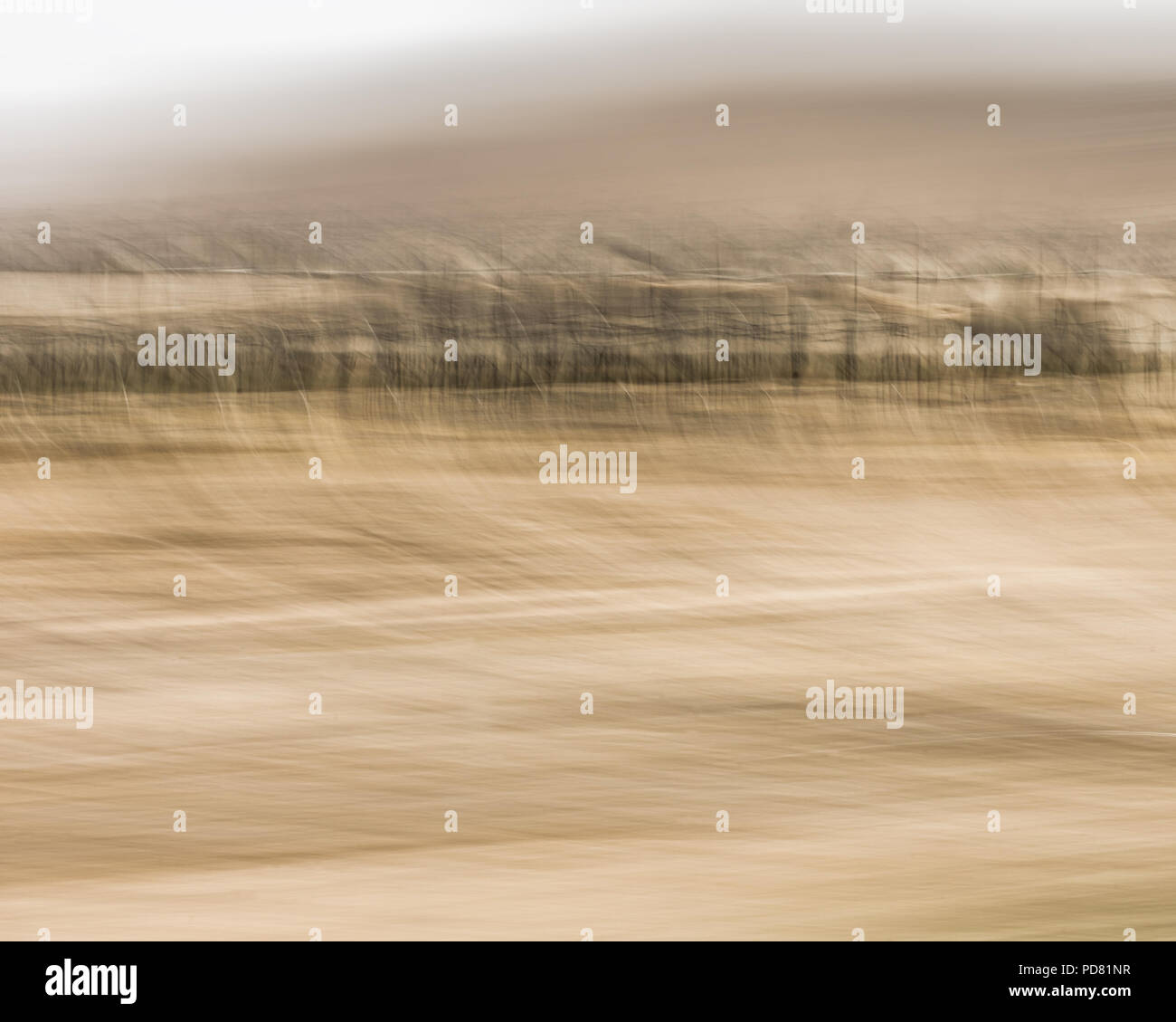 Impressione astratta del deserto del Negev di Cisgiordania Palestina che mostra lo spostamento sfocata dune di sabbia, il vento e la vegetazione rada. Un impressione di un movi Foto Stock
