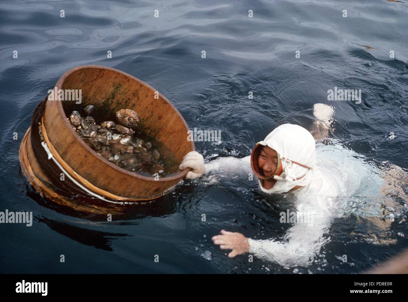 Una Pearl Diver spinge il suo trogolo di raccolta in acqua con già raccolte le ostriche perlifere davanti a lei, presa vicino al Pearl Island Toba sulla penisola Shima. (Senza Data di registrazione). Perle coltivate, come naturalmente perle coltivate, sono formate nella perla oyster mediante una separazione di madreperla intorno a un corpo estraneo nel guscio. Per l'allevamento di questo corpo estraneo è intenzionalmente depositato in giovani ostriche di Perl. Come nel naturale processo impiega circa sette anni per una perla di maturare. La perla ostriche sono "raccolte" dal cosiddetto ama le donne, il giapponese di Pearl Diver. | Utilizzo di tutto il mondo Foto Stock