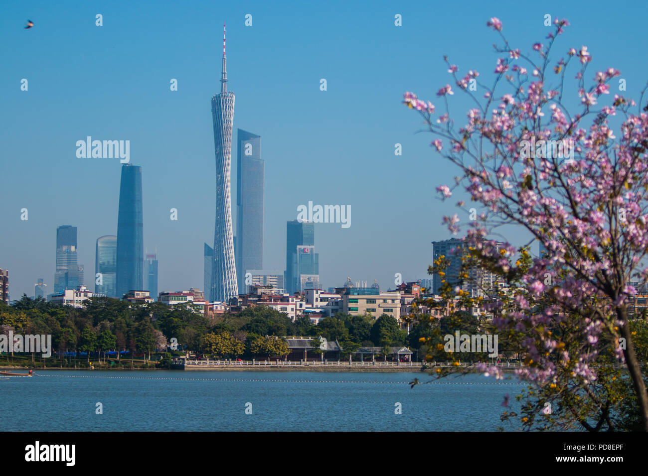 Guangzh, Guangzh, Cina. 8 Ago, 2018. Guangzhou - Cina - Scenario di Haizhu Lake National Wetland Park a Guangzhou, Cina del sud della provincia di Guangdong. Credito: SIPA Asia/ZUMA filo/Alamy Live News Foto Stock