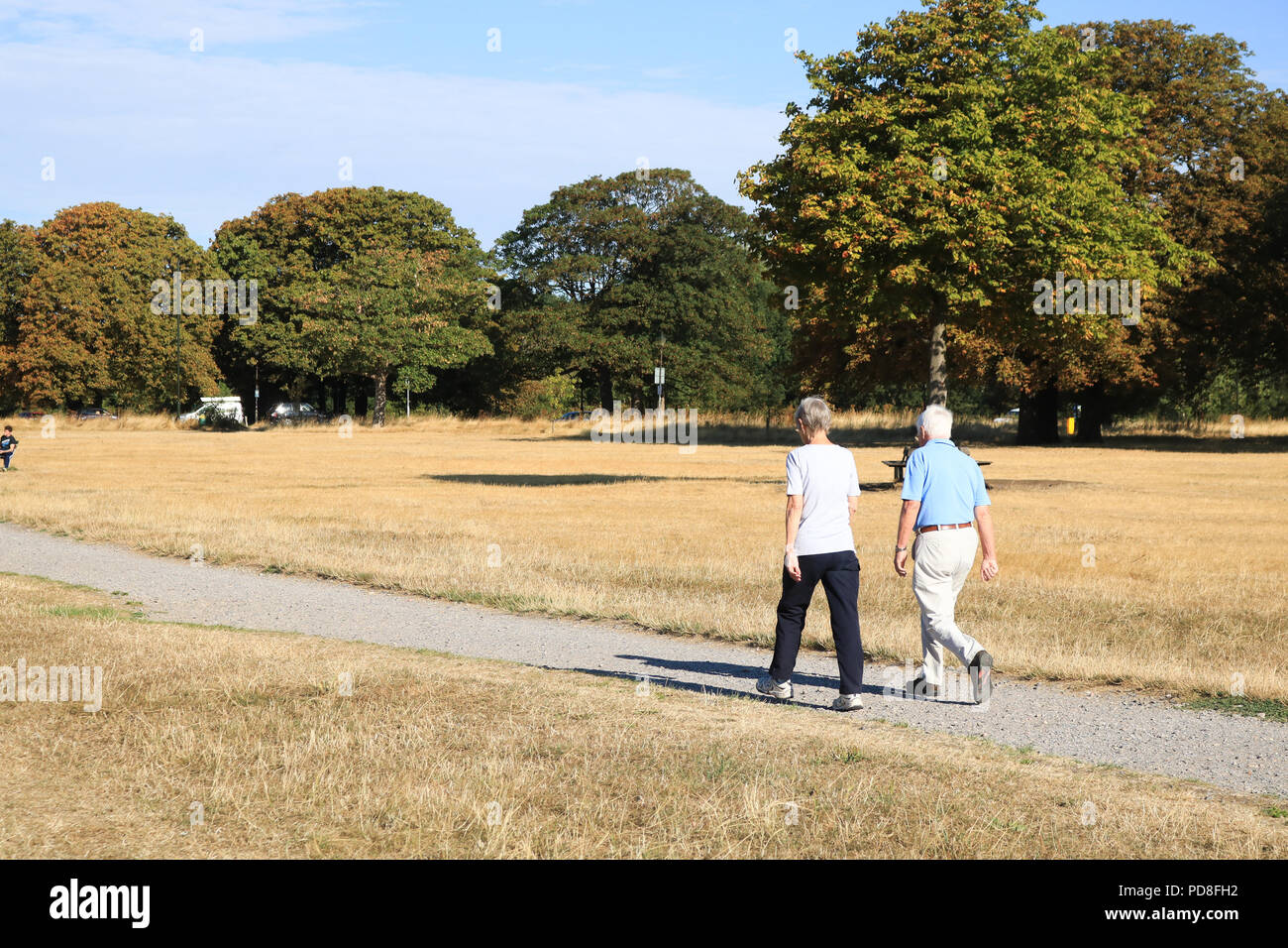 Londra REGNO UNITO. 8 agosto 2018. Le persone godono di una passeggiata su un arido di Wimbledon Common su una luminosa mattina di sole con temperature raffreddamento segnalare la fine della canicola estiva Credito: amer ghazzal/Alamy Live News Foto Stock