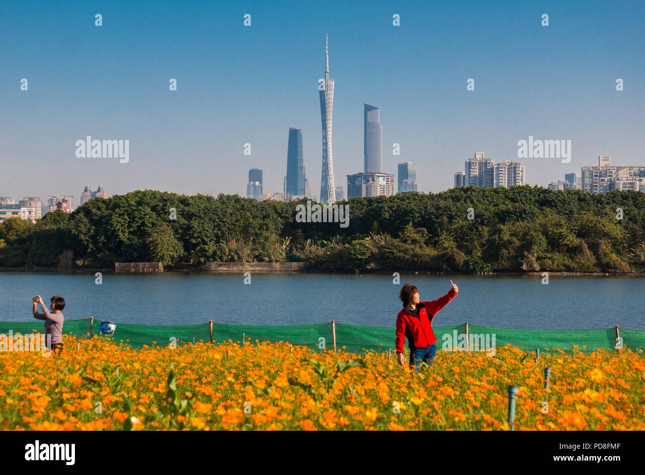 Guangzh, Guangzh, Cina. 8 Ago, 2018. Guangzhou - Cina - Scenario di Haizhu Lake National Wetland Park a Guangzhou, Cina del sud della provincia di Guangdong. Credito: SIPA Asia/ZUMA filo/Alamy Live News Foto Stock